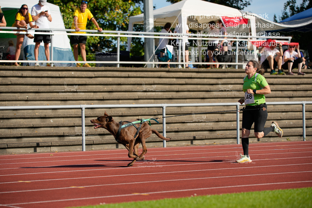 Sonntag_Staffel (81 von 336) | stephaniefillaphotographie - Realisiert mit Pictrs.com