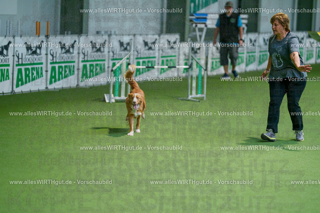 @allesWIRTHgut_Tierfotografie - www.allesWIRTHgut.de - 2604250825-7R506502 | Professionelle Tierfotografie in Mönchengladbach von Daniel Wirth (allesWIRTHgut). Liebevolle & natürliche Bilder von Hunden & Katzen für unvergessliche Erinnerungen.