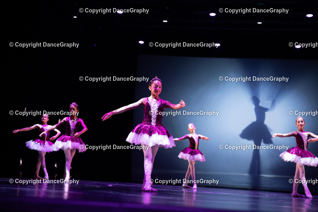 GPHY5248 | DanceGraphy - Realisiert mit Pictrs.com