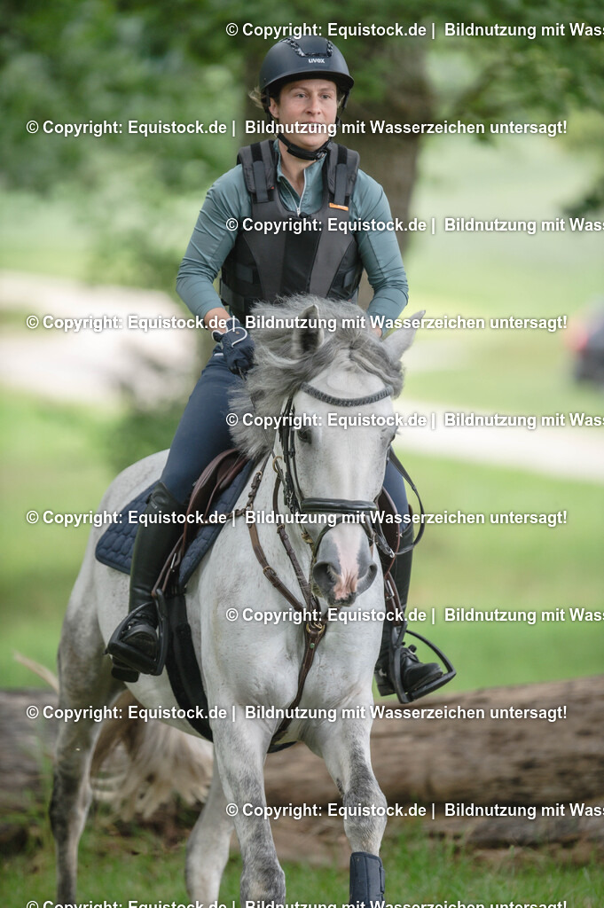 20250726_Vielseitigkeitslehrgang-Marbach_0526 | Foto: Thomas Hartig