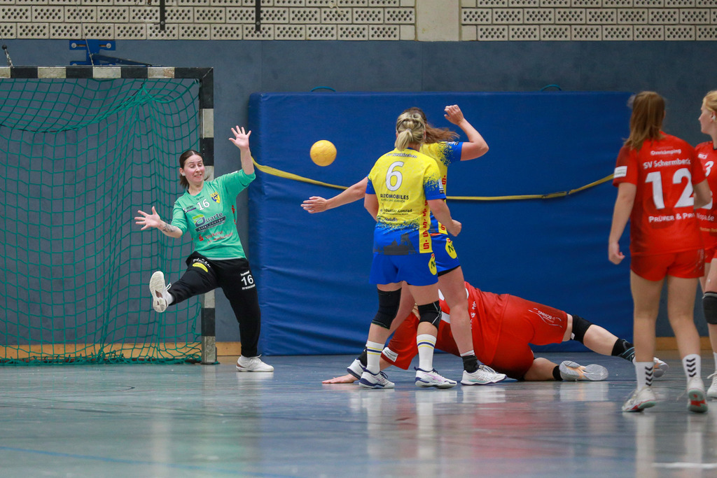 SVN_SvSchermbeck_051024_057 | Bildergalerie von Sport-Ereignissen aber auch von weiteren spannenden Dingen - nicht nur vom Niederrhein. In Anlehnung an den bekannten Spruch von Hanns Dieter Hüsch heißt das Motto: "Niederrhein ist überall".  - Realisiert mit Pictrs.com