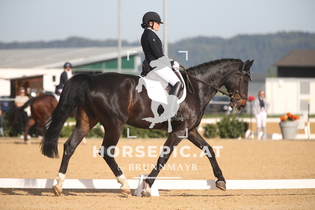 AS8V5328 | Willkommen bei Brunnmayr - Design & Fotografie – Ihrem Spezialisten für Reitturniere und Pferdeveranstaltungen in Oberösterreich, Salzburg und Bayern! Seit über 17 Jahren sind wir leidenschaftlich dabei.