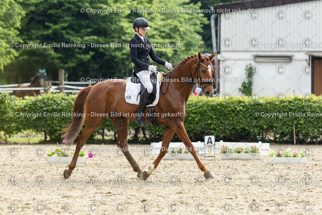 CL5A4540 | Emilia Reinking Fotografie - Realisiert mit Pictrs.com