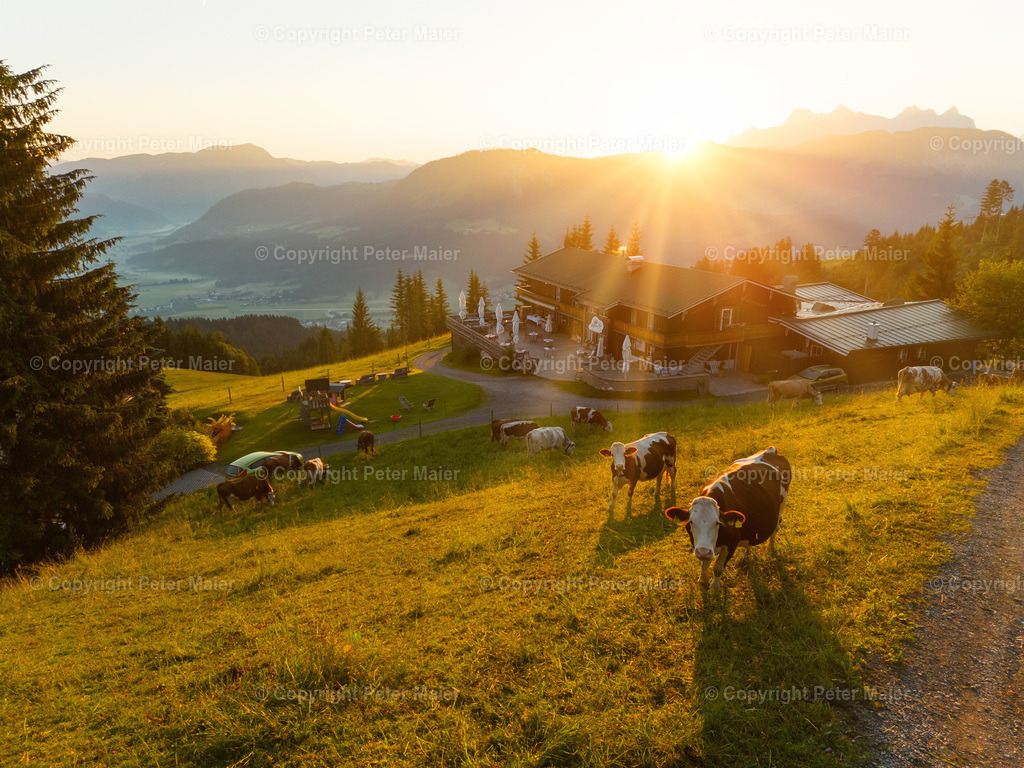 Summer_Experience_St_Johann_2023_Angerer_Alm-451 | piet_flosse