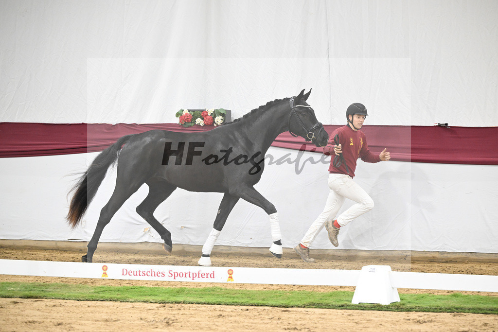 Kat-Nr. 37 St. Emilion x Quantensprung_Uwe Kraft_47251273 | hf-fotografie - Realisiert mit Pictrs.com