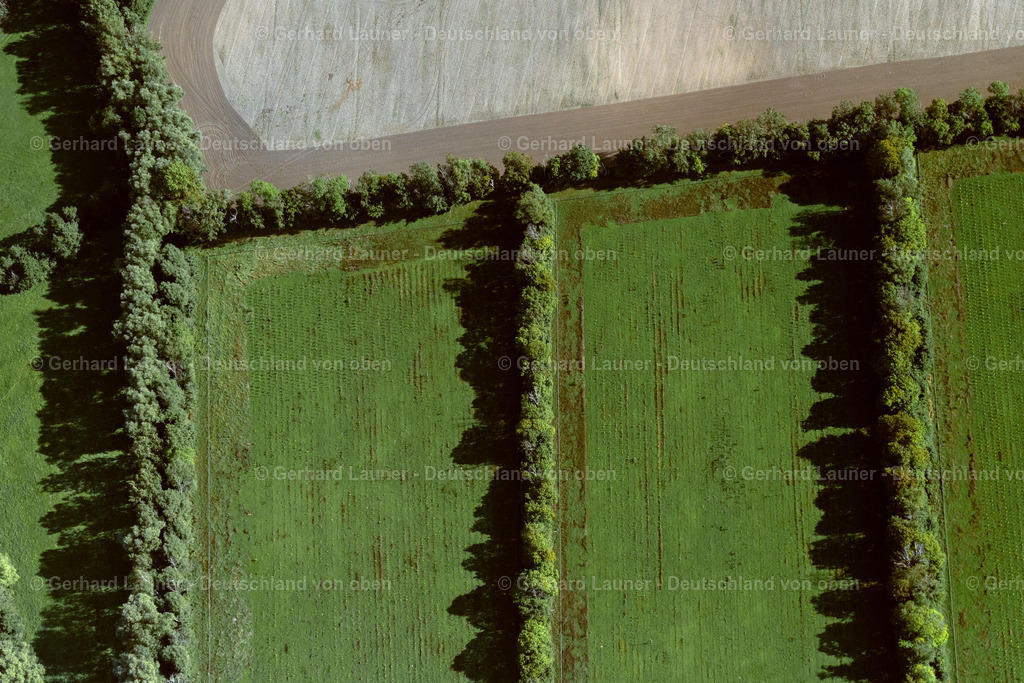 4061086 | RUBENOW 08.09.2021 Baumreihe an einem Feldrand in Rubenow im Bundesland Mecklenburg-Vorpommern, Deutschland. // Row of trees in a field edge in Rubenow in the state Mecklenburg - Western Pomerania, Germany. Foto: Gerhard Launer