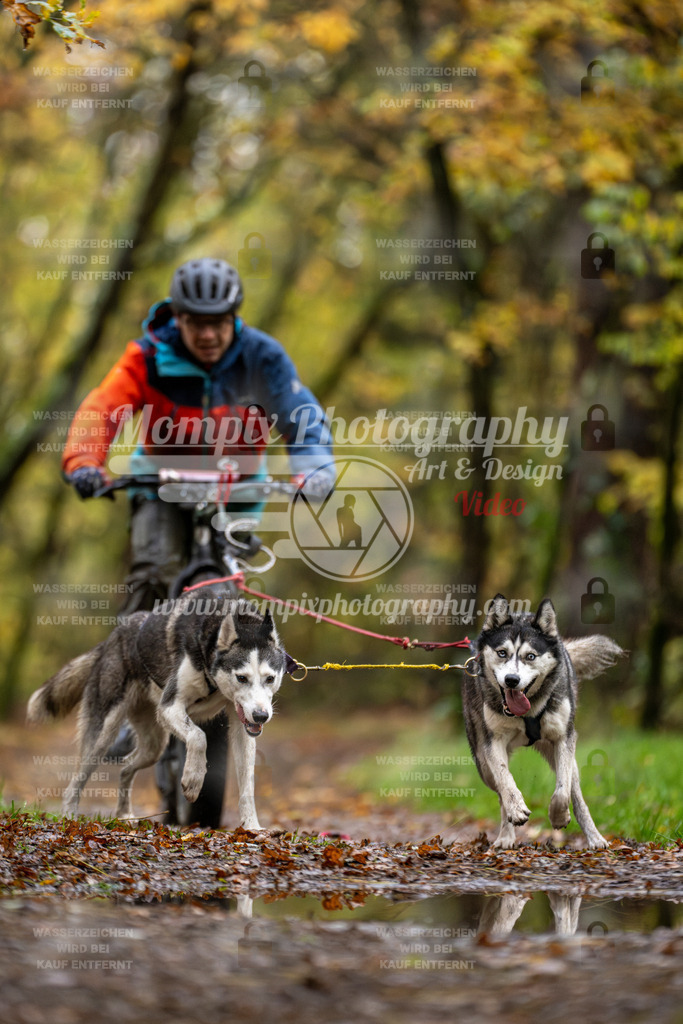 MompixPhotography_Bischwiller23_DS2-19 | PayLife