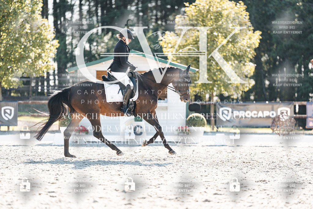 CK906402 | Turnierfotografie Pferdefotografie Trier Rheinland-Pfalz Pferdesport Reitsport Tierfotografie Sportfotografie Pferdevideo Pferdevideografie Equestrianvideography equestrianphotography  - Realisiert mit Pictrs.com