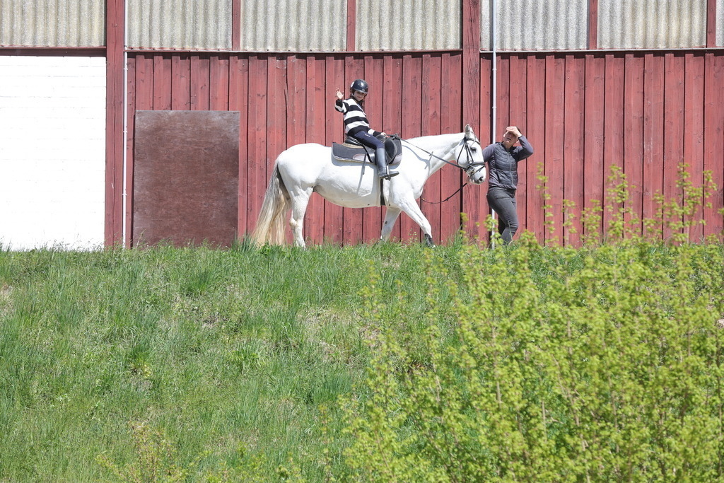 0P6A8796 | Willkommen bei Brunnmayr - Design & Fotografie – Ihrem Spezialisten für Reitturniere und Pferdeveranstaltungen in Oberösterreich, Salzburg und Bayern! Seit über 17 Jahren sind wir leidenschaftlich dabei.