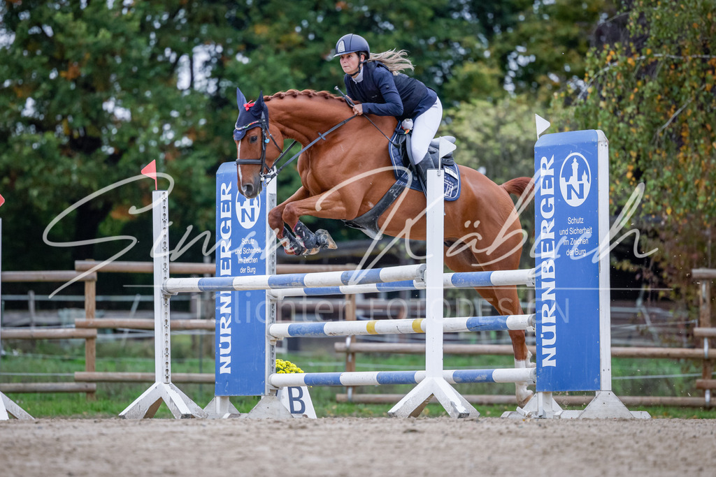 20251012-_3LI4937 | Tierfotografie Pferde, Hunde, Katzen, Haustiere.
Turnierfotografie Reitturniere, Reiten, Springreiten, Dressur in Hanau, dem Main-Kinzig-Kreis und dem Rhein-Main- Gebiet um Frankfurt