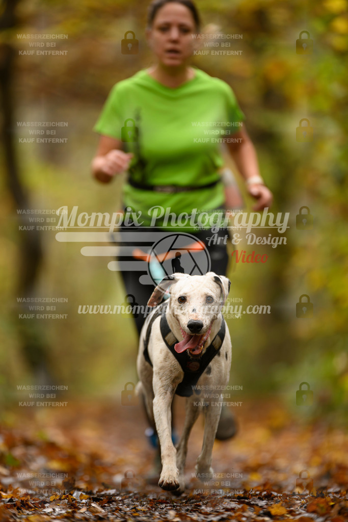 MompixPhotography_CD7S_DI_CCL-65 | mompixphotography