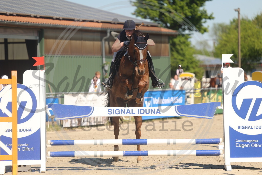 994A6001 | sabrinanicolaifotografie - Realisiert mit Pictrs.com