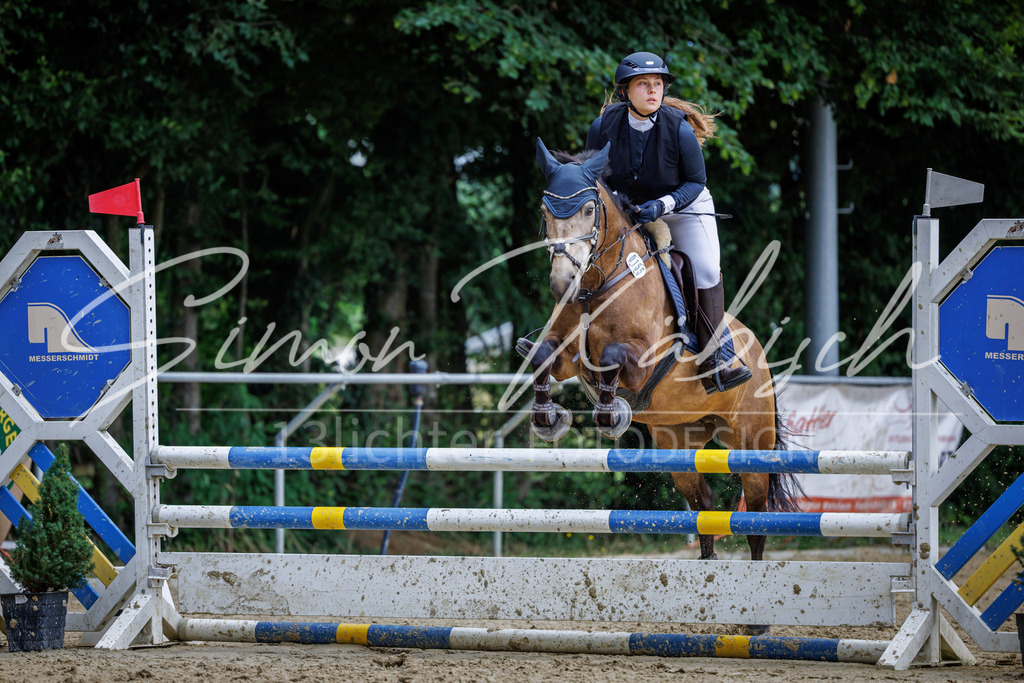 20260705-_3LI5400 | Tierfotografie Pferde, Hunde, Katzen, Haustiere.
Turnierfotografie Reitturniere, Reiten, Springreiten, Dressur in Hanau, dem Main-Kinzig-Kreis und dem Rhein-Main- Gebiet um Frankfurt