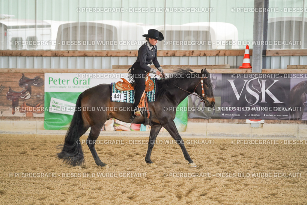 DSC09958 | Pferdegrafie