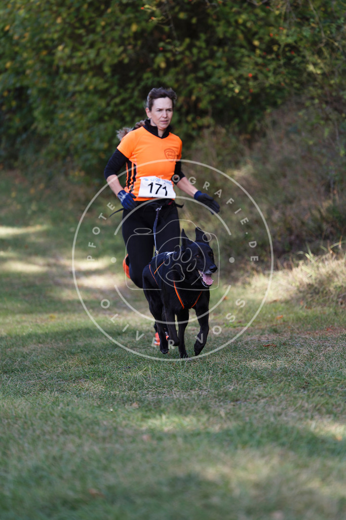0L8A5362 | Hundefotografie, Tierfotograf, Pfotenfotografie, Fotoshooting Hund, Hunde Portrait, Hundesport, Hundeportraits, Heideshooting, Hunde, Sportfotograf, Hundefotograf, Turnierhundsport, THS,  - Realisiert mit Pictrs.com