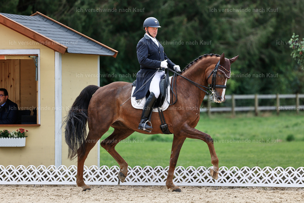 11-092-Dressur S___-Marixx-1572 | working equitationturnier fotograf videograf stoibphotography marixx film working equitation deutschland reitsport turnierfotografie eventfotografie equestrian events