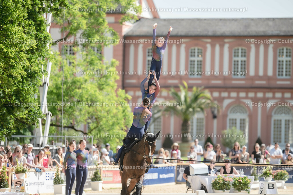 20230528_Voltigieren_NASPA_0466 | equistock