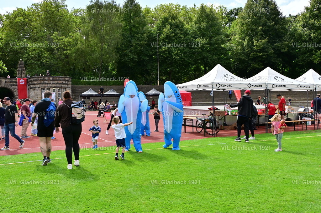 2026-08-23_Sparkassenlauf_Haie_00005 | Die Fotografen - Realisiert mit Pictrs.com
