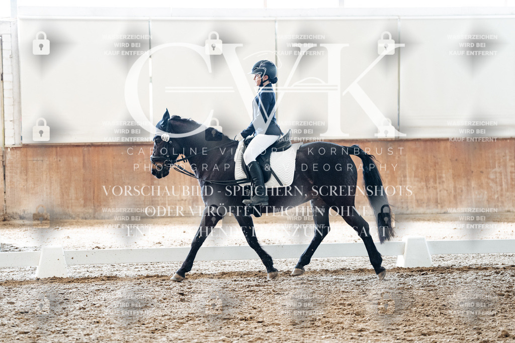 CK900160 | Turnierfotografie Pferdefotografie Trier Rheinland-Pfalz Pferdesport Reitsport Tierfotografie Sportfotografie Pferdevideo Pferdevideografie Equestrianvideography equestrianphotography  - Realisiert mit Pictrs.com
