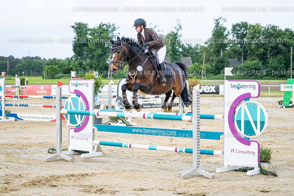 DSC03442 | Pferdegrafie