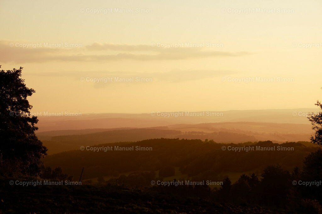 D6409752 | Bildwerk Manuel Simon - Realisiert mit Pictrs.com