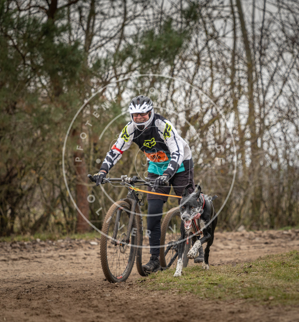 Pfotenfotografie_DV3A9888 | Hundefotografie, Tierfotograf, Pfotenfotografie, Fotoshooting Hund, Hunde Portrait, Hundesport, Hundeportraits, Heideshooting, Hunde, Sportfotograf, Hundefotograf, Turnierhundsport, THS,  - Realisiert mit Pictrs.com