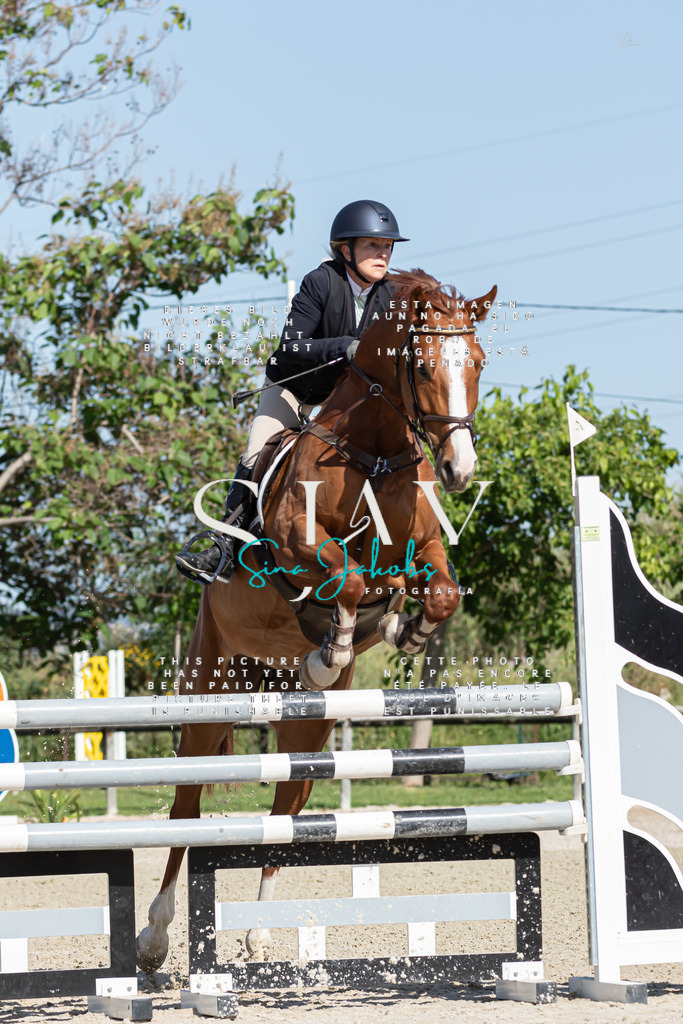 IMG_1003 | s-jay-photography - Realisiert mit Pictrs.com