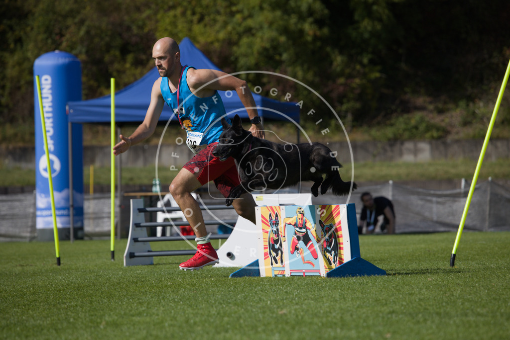 0L8A8180 | Hundefotografie, Tierfotograf, Pfotenfotografie, Fotoshooting Hund, Hunde Portrait, Hundesport, Hundeportraits, Heideshooting, Hunde, Sportfotograf, Hundefotograf, Turnierhundsport, THS,  - Realisiert mit Pictrs.com