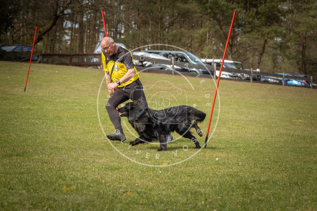 Pfotenfotografie_DV3A8161 | Hundefotografie, Tierfotograf, Pfotenfotografie, Fotoshooting Hund, Hunde Portrait, Hundesport, Hundeportraits, Heideshooting, Hunde, Sportfotograf, Hundefotograf, Turnierhundsport, THS,  - Realisiert mit Pictrs.com