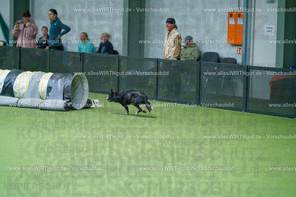 @allesWIRTHgut_Tierfotografie - www.allesWIRTHgut.de - 2604250813-7R505769 | Professionelle Tierfotografie in Mönchengladbach von Daniel Wirth (allesWIRTHgut). Liebevolle & natürliche Bilder von Hunden & Katzen für unvergessliche Erinnerungen.