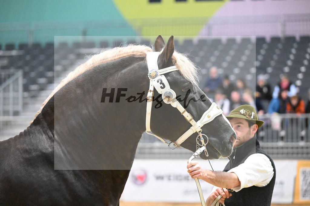 Kat-Nr. 3 Steinbach v. Burggen v. Sixtus_Schleich_1260044 | hf-fotografie - Realisiert mit Pictrs.com