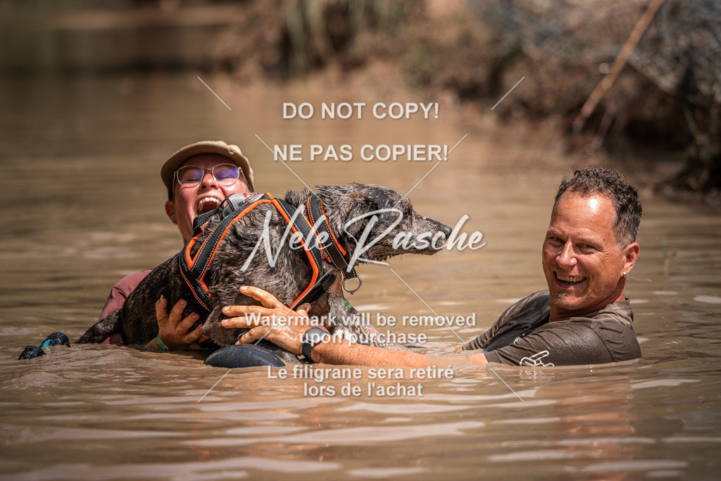 nelerasche_Hoope2026_So1430-1530_40 | nelerasche