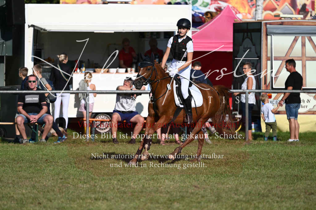 DSC_4813 | Pferde- und Turnierfotografie in Westsachsen. Pferdeportraits, Auftragszeichnungen und intuitive Kunst.