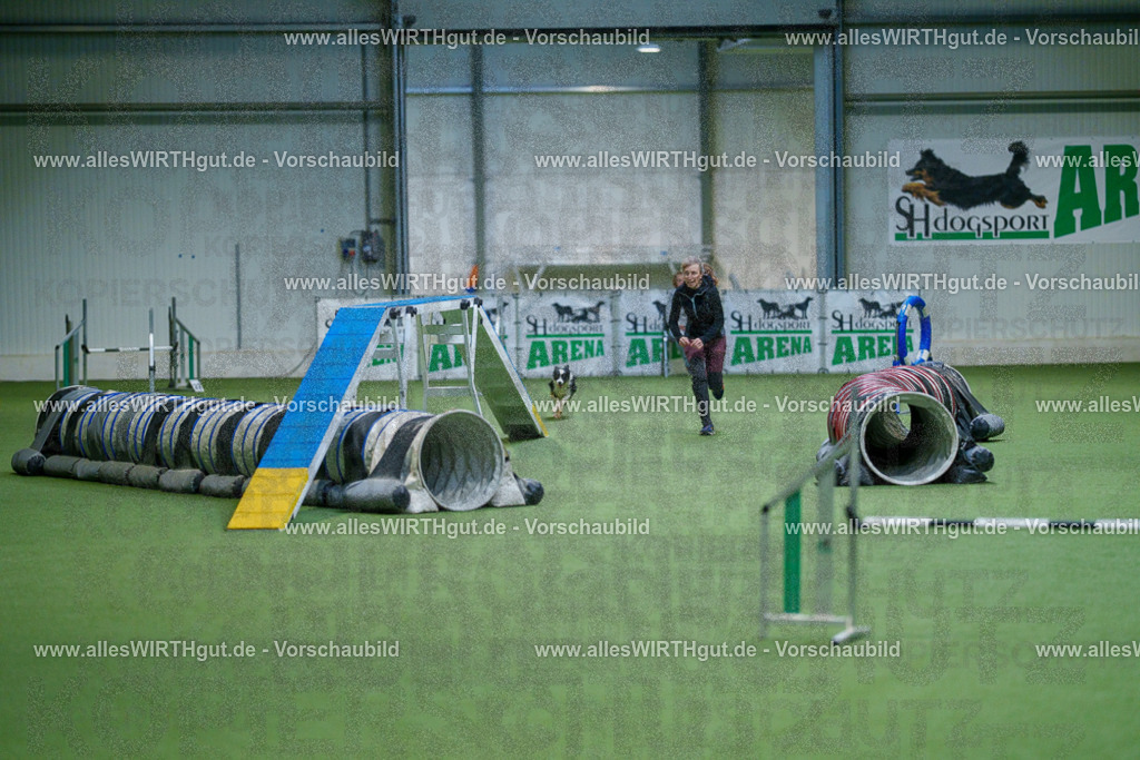 @allesWIRTHgut_Tierfotografie - www.allesWIRTHgut.de - 2604250817-7R506055 | Professionelle Tierfotografie in Mönchengladbach von Daniel Wirth (allesWIRTHgut). Liebevolle & natürliche Bilder von Hunden & Katzen für unvergessliche Erinnerungen.