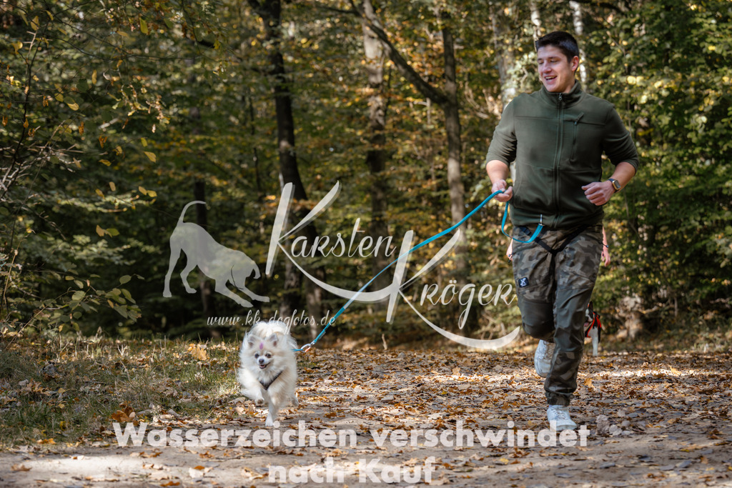 1247_ZZ96176 | kk-dogfotos