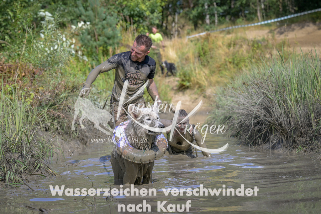 1642_ZZ97338 | kk-dogfotos