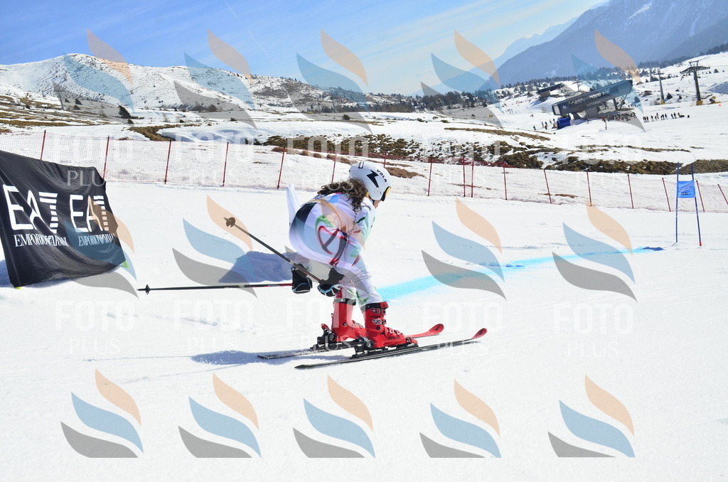 _ELE0157 | holidayphoto