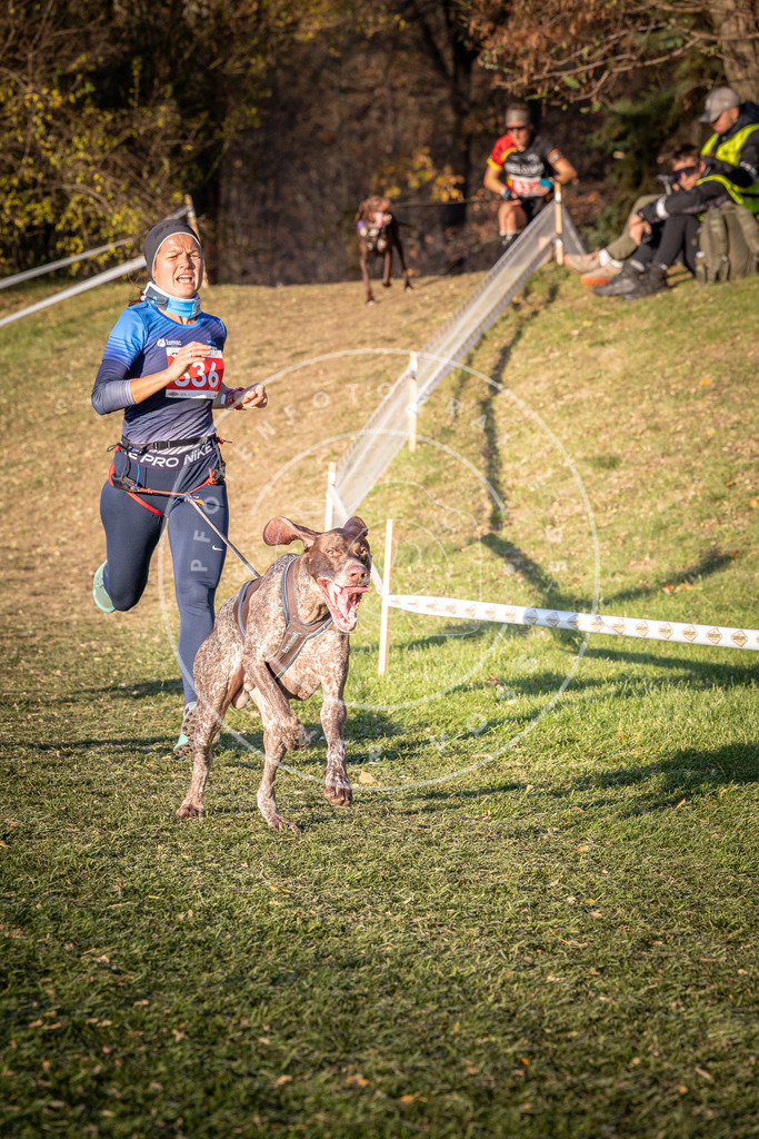 CaniXpix_0L8A0647 | Hundefotografie, Tierfotograf, Pfotenfotografie, Fotoshooting Hund, Hunde Portrait, Hundesport, Hundeportraits, Heideshooting, Hunde, Sportfotograf, Hundefotograf, Turnierhundsport, THS,  - Realisiert mit Pictrs.com
