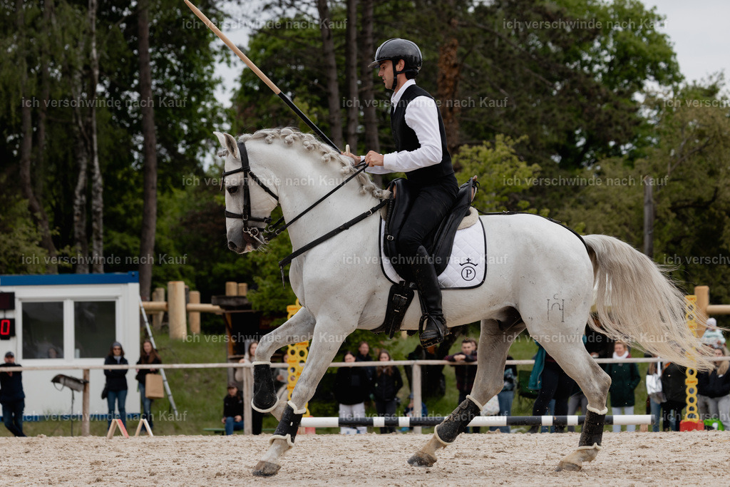 PI26_SP_StoibphotographyC2_C0559.jpg | working equitationturnier fotograf videograf stoibphotography marixx film working equitation deutschland reitsport turnierfotografie eventfotografie equestrian events
