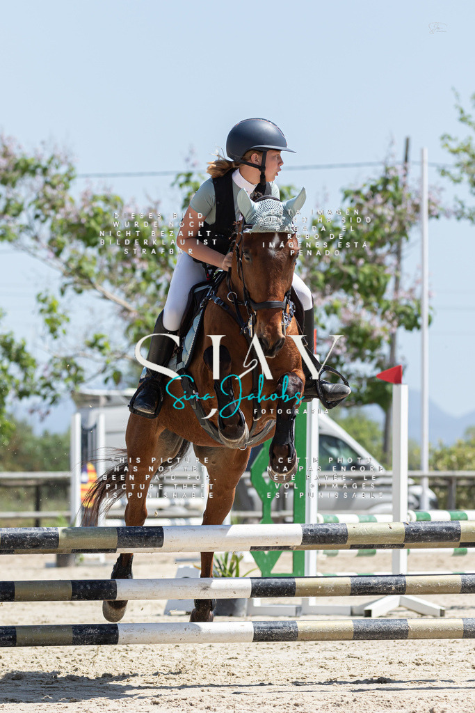 IMG_0504 | s-jay-photography - Realisiert mit Pictrs.com