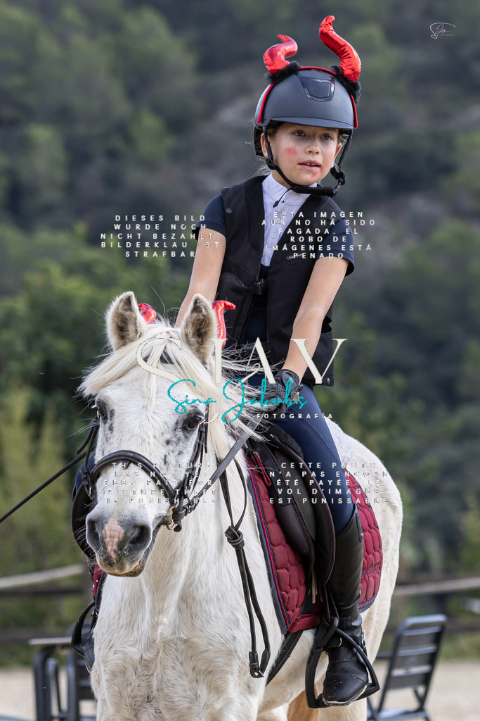 IMG_2258 | s-jay-photography - Realisiert mit Pictrs.com