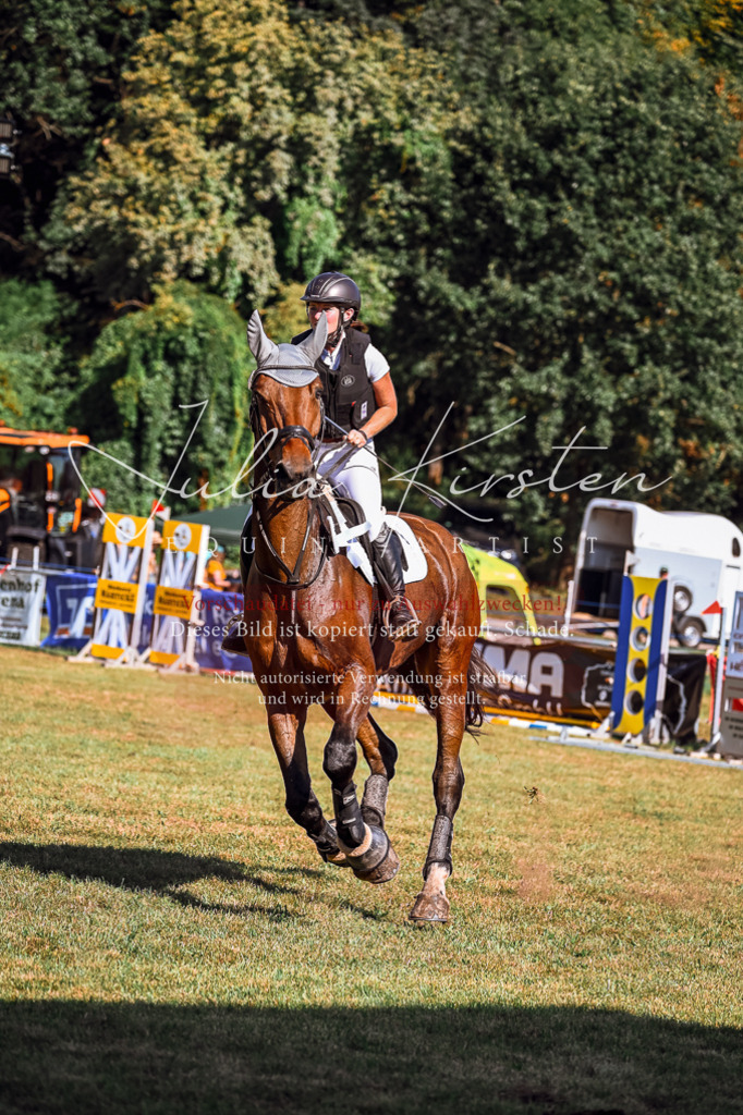 DSC_1183 | Pferde- und Turnierfotografie in Westsachsen. Pferdeportraits, Auftragszeichnungen und intuitive Kunst.