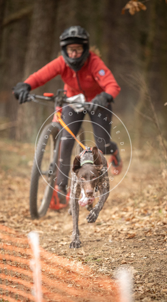Pfotenfotografie_DV3A4003 | Hundefotografie, Tierfotograf, Pfotenfotografie, Fotoshooting Hund, Hunde Portrait, Hundesport, Hundeportraits, Heideshooting, Hunde, Sportfotograf, Hundefotograf, Turnierhundsport, THS,  - Realisiert mit Pictrs.com