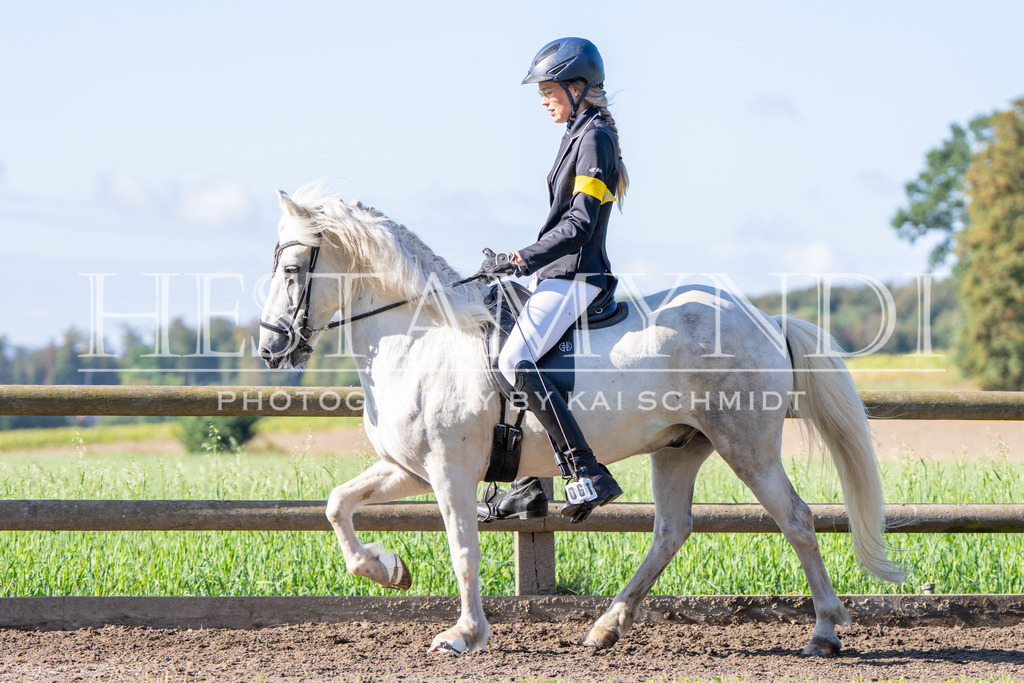 KAI04043 | Ihr sucht einen Fotografen für eure nächste OSI? Ich begleite auch euer Turnier für Islandpferde fotografisch.  - Realisiert mit Pictrs.com