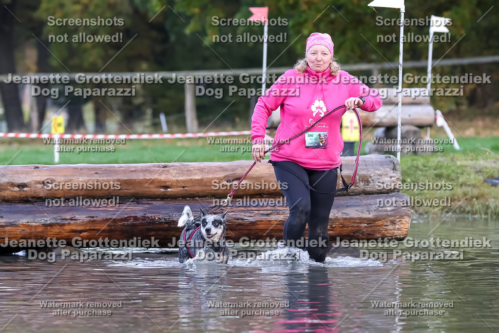 Dog Paparazzi - Strongdog 10-25-6537 | Dog Paparazzi Jeanette Grottendiek Fotografie & Videografie - Realisiert mit Pictrs.com