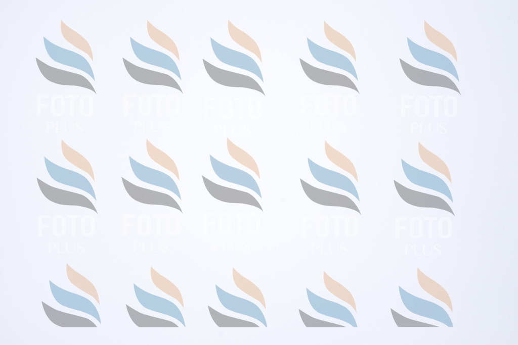 D8067 | holidayphoto