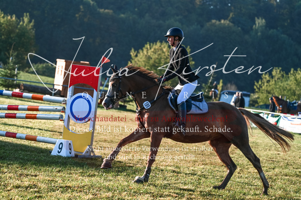 DSC_4015 | Pferde- und Turnierfotografie in Westsachsen. Pferdeportraits, Auftragszeichnungen und intuitive Kunst.
