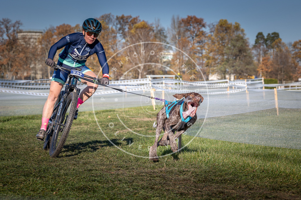 CaniXpix_0L8A4824 | Hundefotografie, Tierfotograf, Pfotenfotografie, Fotoshooting Hund, Hunde Portrait, Hundesport, Hundeportraits, Heideshooting, Hunde, Sportfotograf, Hundefotograf, Turnierhundsport, THS,  - Realisiert mit Pictrs.com