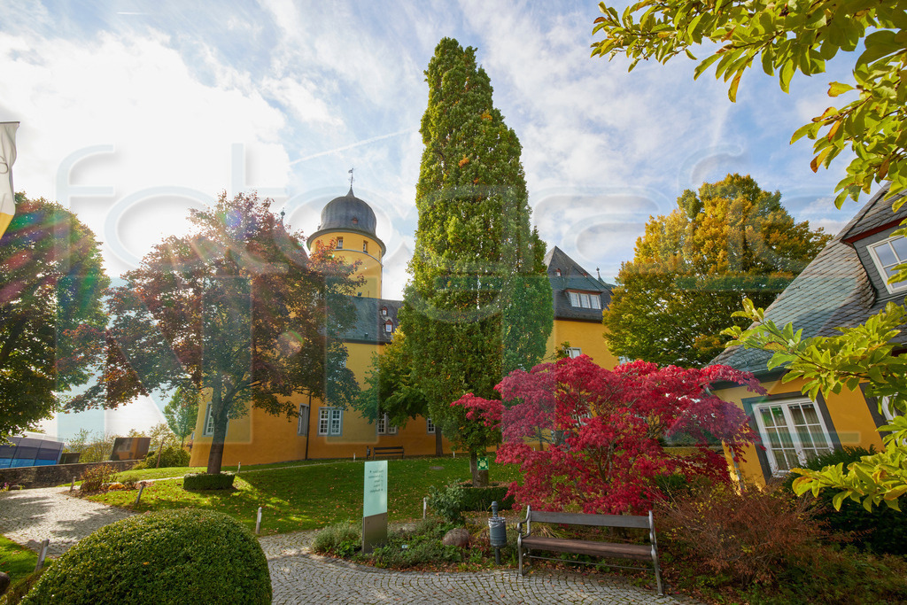 2022-10-12 14-19-14__5_12762 | Nitz Fotografie aus Montabaur bietet Ihnen hier die Möglichkeit Bilder auszusuchen und zu bestellen. 