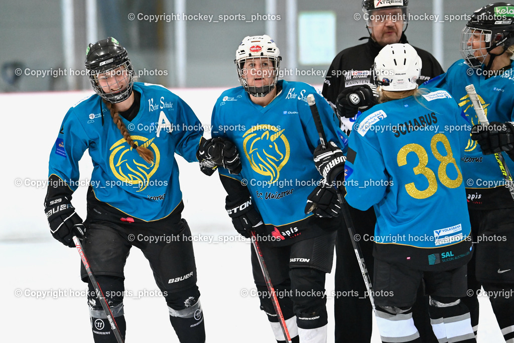 BST_6729 | hockey sports photos, Pressefotos, Sportfotos, hockey247, win 2day icehockeyleague, Handball Austria, Floorball Austria, ÖVV, Kärntner Eishockeyverband, KEHV, KFV, Kärntner Fussballverband, Österreichischer Volleyballverband, Alps Hockey League, ÖFB, 